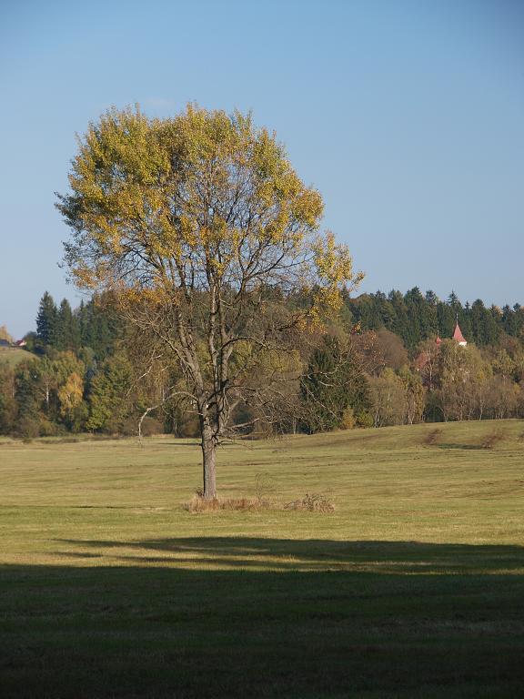 PA222855.jpg