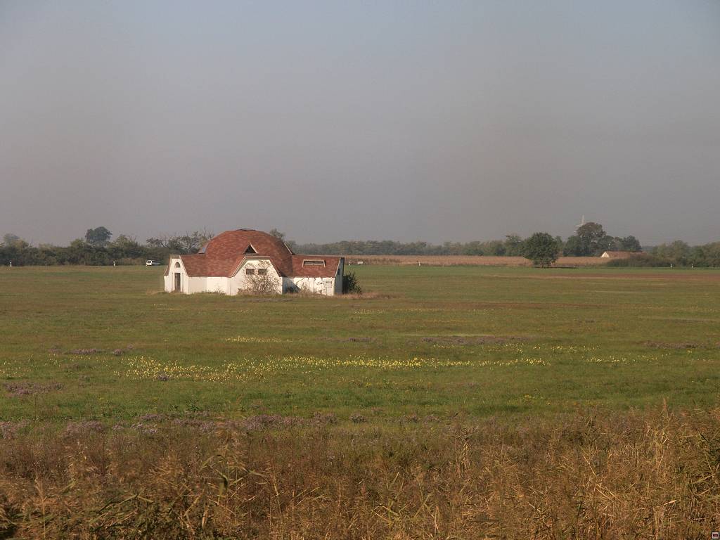 PA096932.jpg