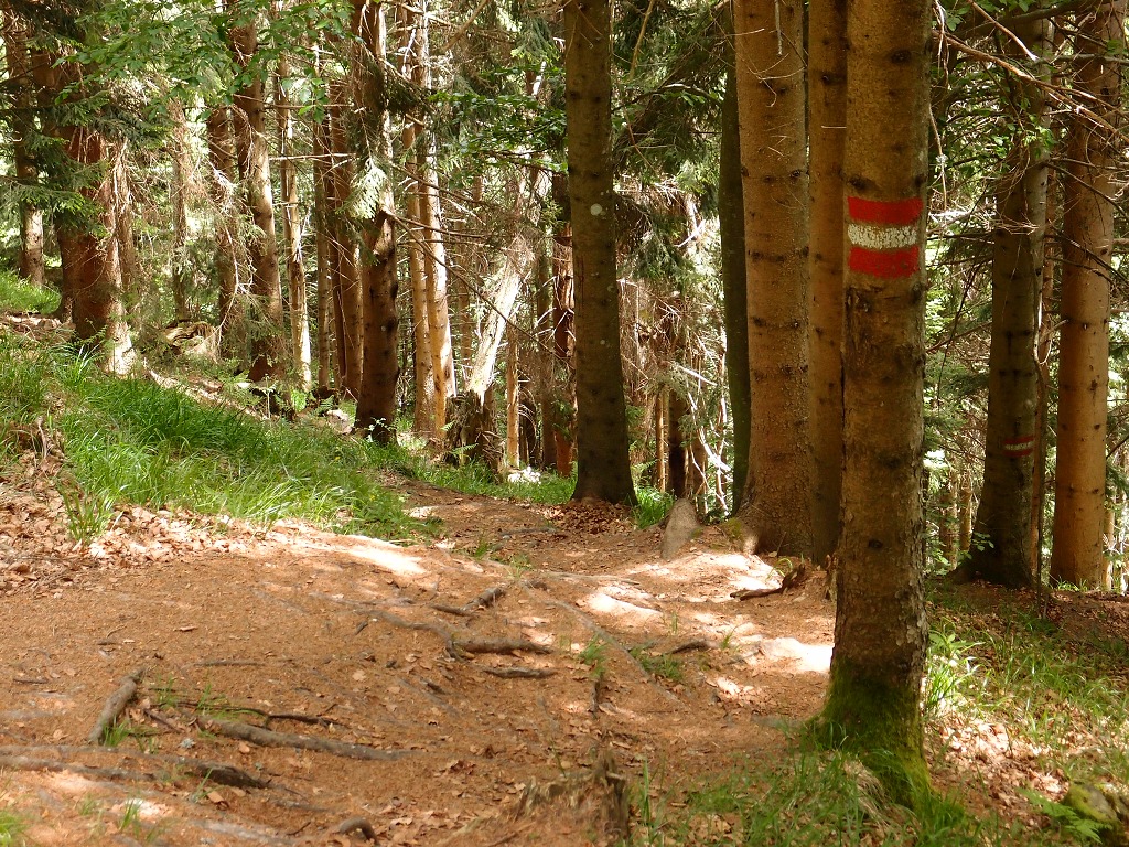 img00011.jpg