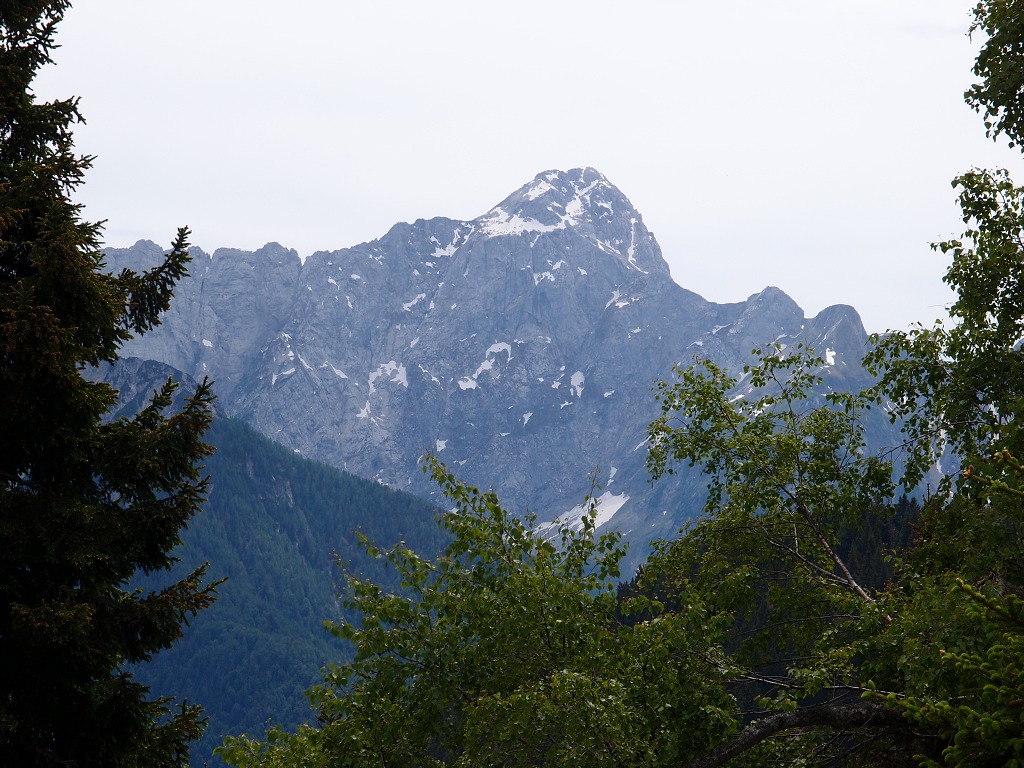 img00019.jpg