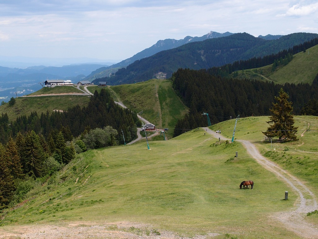 img00020.jpg
