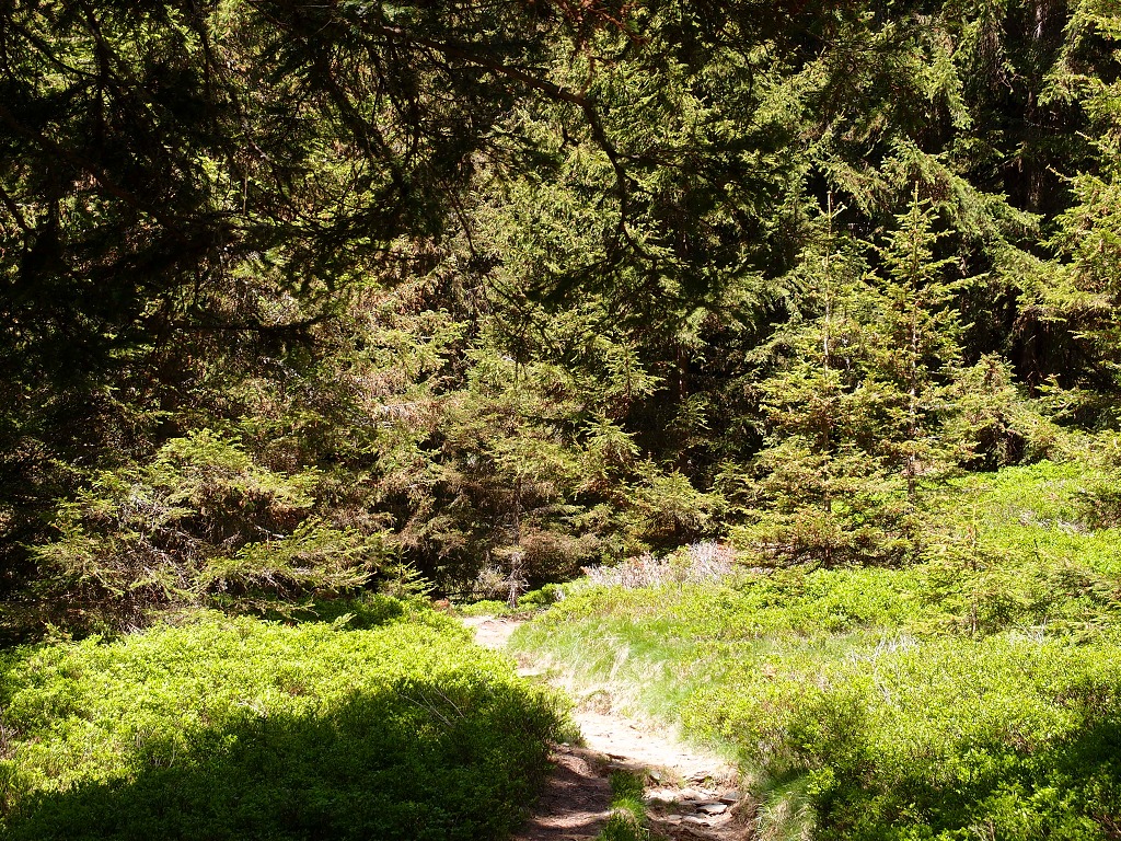 img00015.jpg